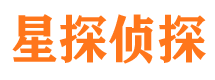 长岭侦探公司